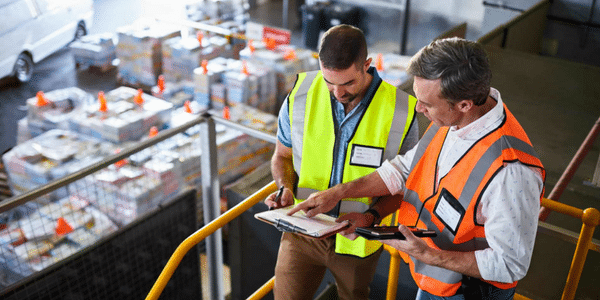 quality consultants performing audit