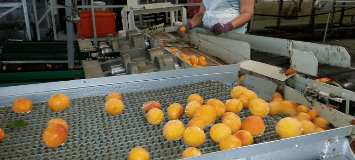 Preventive controls human food